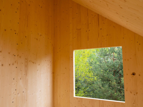 Domy modułowe z CLT – rewolucja w nowoczesnym budownictwie z drewna